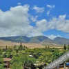 Отель Lahaina Shores #522 Studio Bedroom Condo by RedAwning, фото 1
