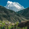 Отель Hunza One, фото 13