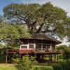 Отель Elewana Tarangire Treetops в Аруше