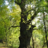 Отель Palac Witoslaw, фото 2