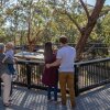 Отель Port Stephens Koala Sanctuary, фото 34