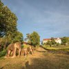 Отель Mondulkiri Hotel, фото 1