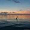 Отель Slapen aan het IJsselmeer, фото 13