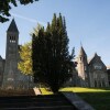 Отель The Scriptorium Garden, фото 35