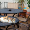 Отель Richard's Pet Friendly Motel, фото 16