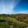 Отель Agriturismo Acetaia Sereni, фото 27