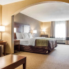 Отель Comfort Inn Edinburg, фото 8