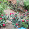 Отель Horizon Homestay, фото 23