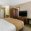 Отель Comfort Inn, фото 5