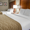 Отель Comfort Suites Omaha East-Council Bluffs, фото 4
