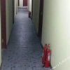 Отель Huicui Hostel, фото 3