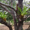 Отель Dracaena Resort, фото 11