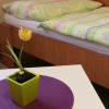 Отель Hostel U Kožovy Hory Kladno, фото 5
