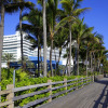 Отель Fontainebleau Miami Beach Private Luxury Suites, фото 1