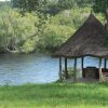 Отель Bongwe Kafue Camp, фото 3