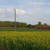 Отель Countryside Delight, a Drive Away From Brugges, Lille and Ghent, фото 19