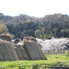 Отель Stay Omihachiman Ekimae Inn, фото 14