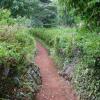 Отель Bulembu Country Lodge, фото 7