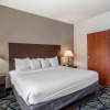 Отель BEST WESTERN PLUS McKinney Inn & Suites, фото 6