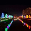 Отель Ipoh Town lovely Homestay, фото 28