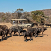 Отель Valamanzi Lodge, фото 22