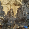 Отель Liuyuan Homestay (Qingzhou Ancient City Branch), фото 14