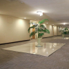 Отель Hampton Inn By Hilton Tampico Zona Dorada, фото 17