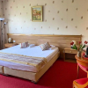 Отель Alegro Hotel, фото 4