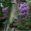 Отель Anqing Zhuersao Farm Stay, фото 12