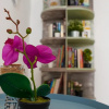 Отель Pittas Studios Garden View, фото 12