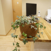 Отель Hostel Rakutsuki, фото 9
