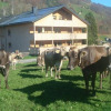 Отель Bauernhof Bertsch, фото 11