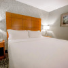 Отель Holiday Inn Raleigh Downtown - Capital, an IHG Hotel, фото 7