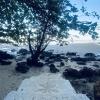 Отель Cocovana Beach Resort - Hostel - Adults Only, фото 13