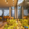 Отель Shengsi wolfberry island mujumuyi Guesthouse, фото 7