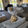 Отель Remarkable 3-bed House in Hull, фото 10