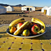 Отель Zagora luxury camp, фото 9