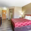 Отель Econo Lodge Inn And Suites Dickson, фото 23