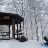 Отель Hangzhou Linan Old Maple Tree Valley-view Hostel, фото 12