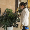 Отель Yuyang International Hotel, фото 9