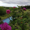 Отель Poderi in Chianti, фото 4