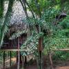 Отель Sweet Songs Jungle Lodge, a Muy'Ono Resort, фото 25