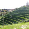 Отель Weingut Albert, Familie Cramer, фото 27