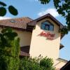 Отель Pensiunea Andrei, фото 1