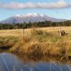 Отель Tongariro at Makotuku Bed and Breakfast, фото 8