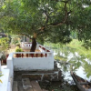 Отель Backwater Heritage Homestay, фото 2