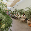 Отель Majagua Hotel Boutique Adults Only, фото 3