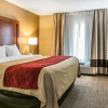 Отель Comfort Inn Airport, фото 3