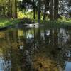 Отель Convento di Acqua Premula, фото 43