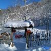 Отель Xuegu Liudongsheng Donkey Youyi Station, фото 1